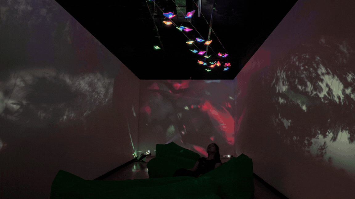 Glowing projected butterflies drift along ceiling wires above a dark room lined with inflatable couches, with nature imagery projected across the surrounding walls.