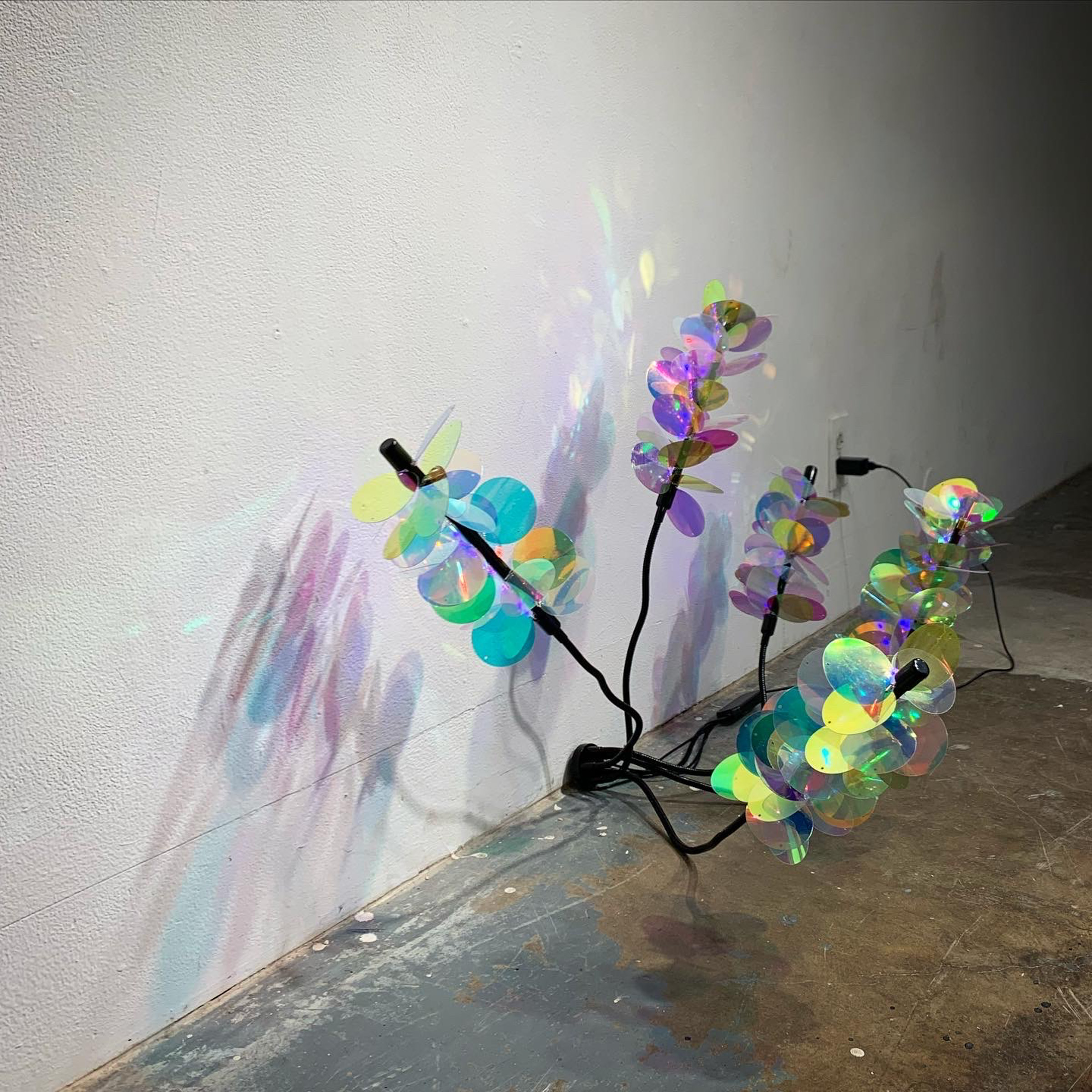 Several gooseneck grow lights fitted with layered iridescent acrylic discs resembling flowers, casting colorful reflections across a gallery wall and concrete floor.