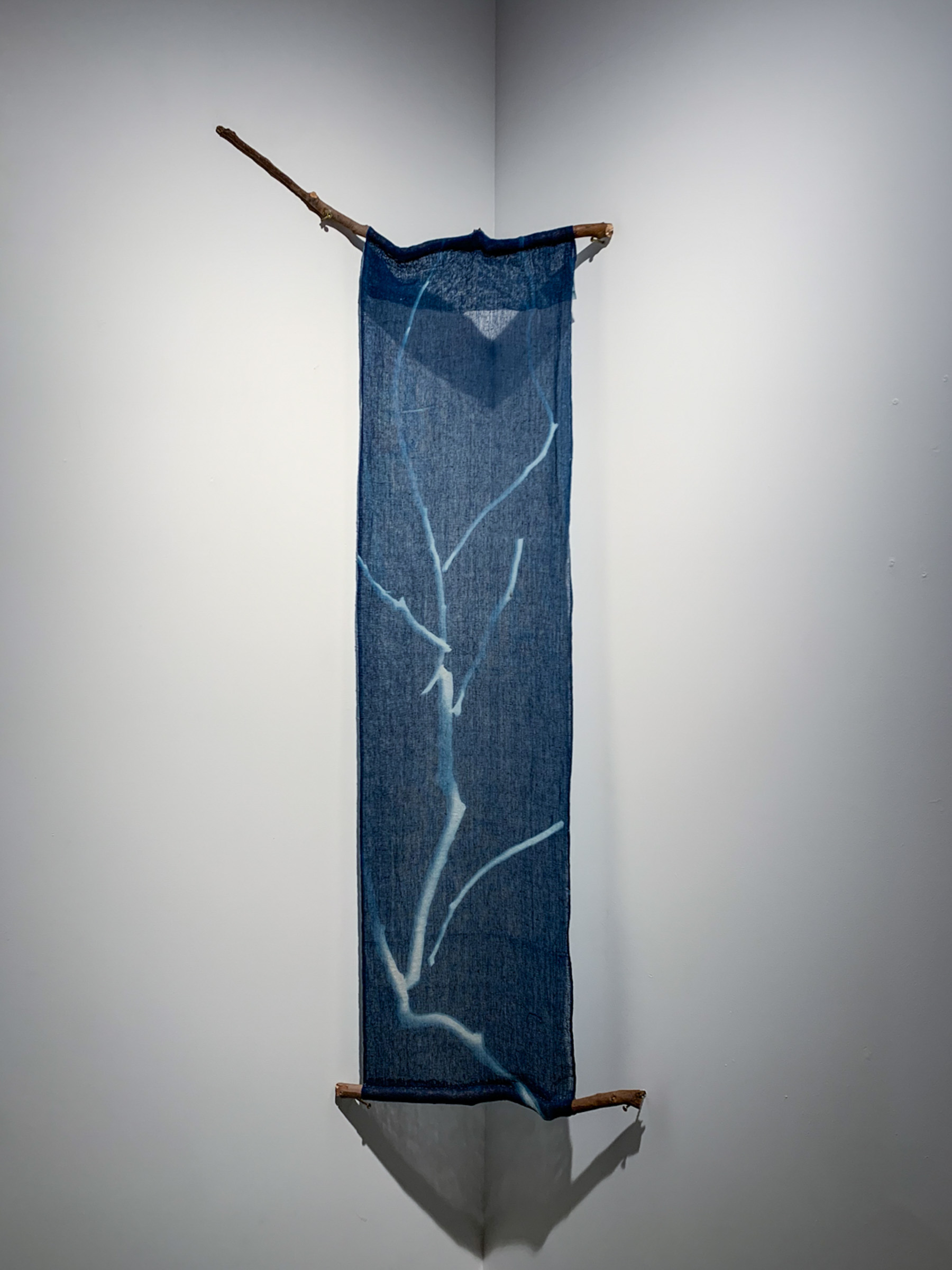 A long strip of indigo cyanotype fabric hangs in a gallery corner between two branches, printed with a pale branching silhouette.