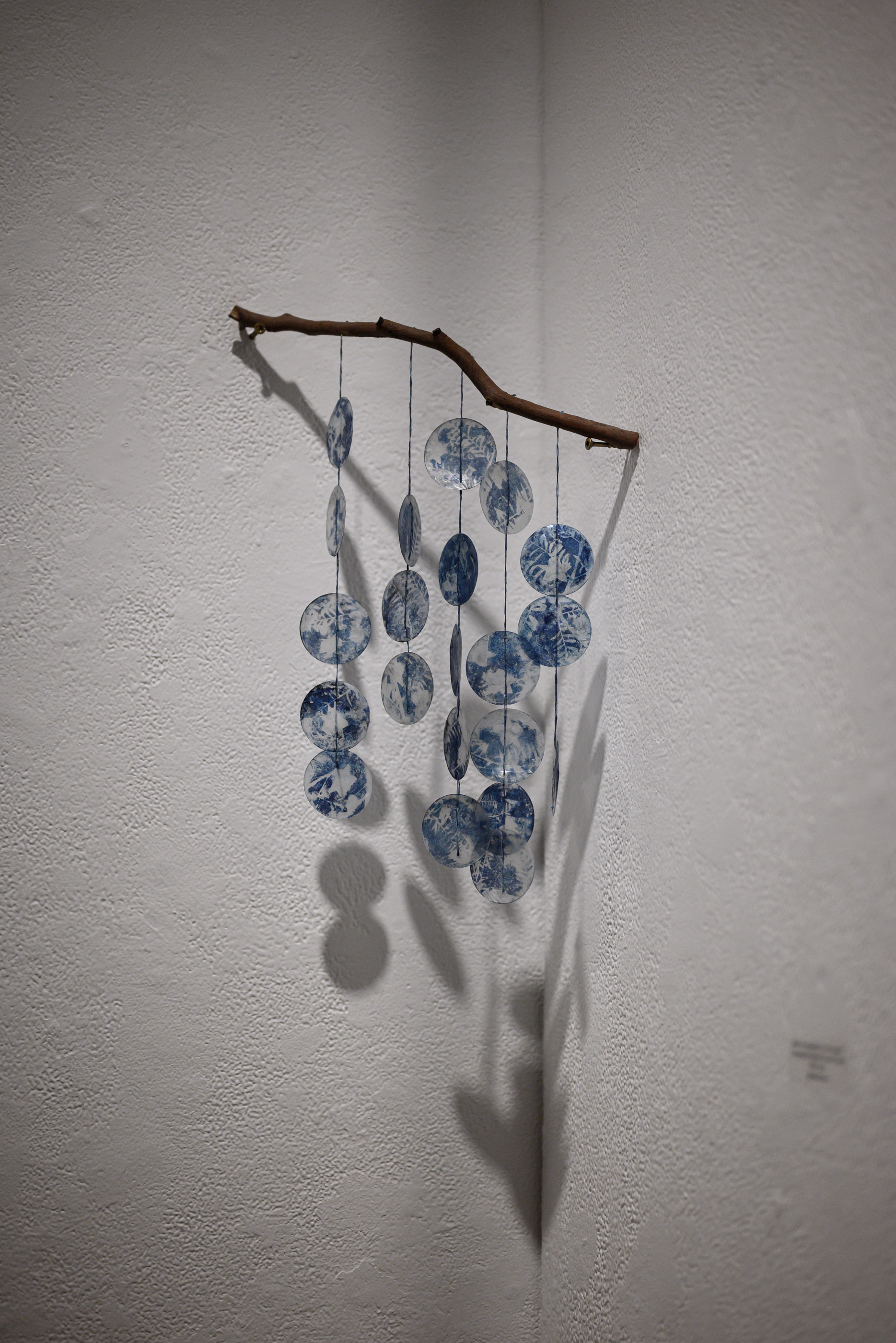 A branch mounted at a gallery wall corner with hanging cyanotype discs of varying sizes, each printed with delicate plant silhouettes, casting soft shadows on the white wall.